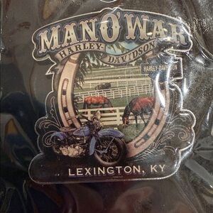 Harley-Davidson Man O' War Pin - Black and Silver